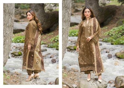 Chic Brown Embroidered Kurti with Elegant Chiffon Dupatta – Perfect for Winter