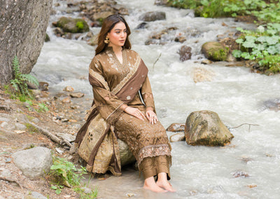 Chic Brown Embroidered Kurti with Elegant Chiffon Dupatta – Perfect for Winter
