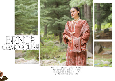 Chic Rust Embroidered Kurti with Matching Chiffon Dupatta – Define Your Style